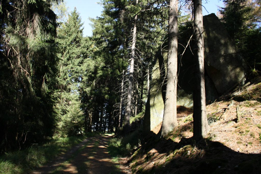 organizacja pogrzebów